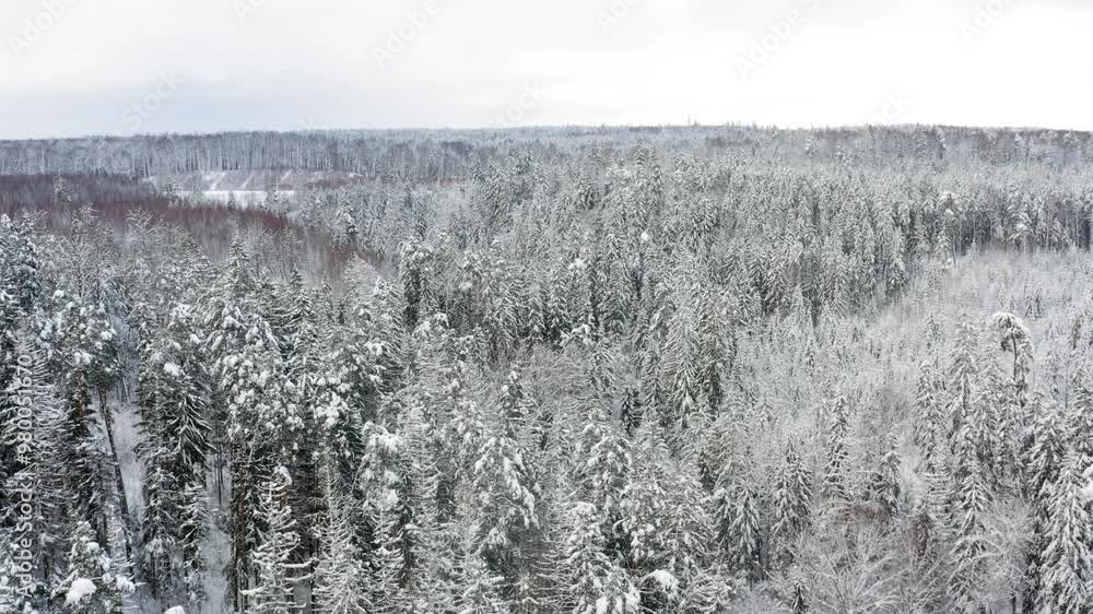 Aerial Video of a Forest Covered in Snow Aerial Video of a Forest Covered in Snow