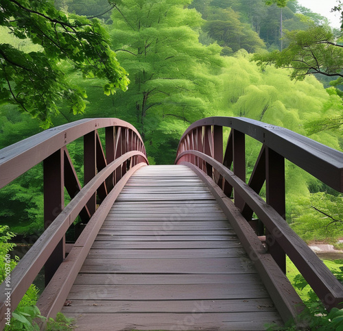 wooden bridge over the river