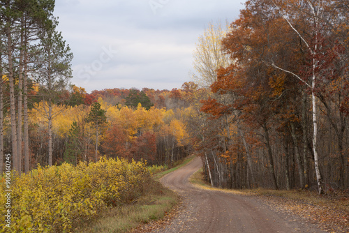 Rural Scene in Autumn with Decidous Forest and Unimproved Road