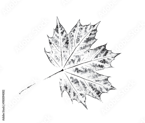 Black and white stamp impression of a maple leaf or organic texture. Isolated leaf print for floral art or pattern.