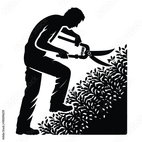 Gardener Trimming Hedges