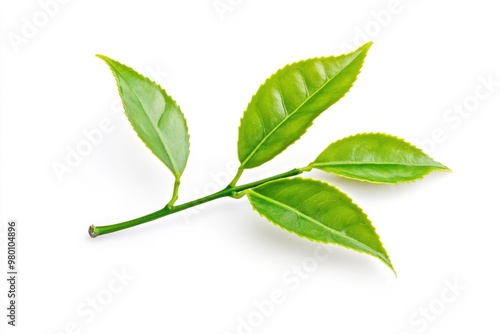 Green tea leaf isolated on white background, ai