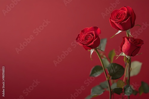 Red rose flowers on red colour background with copy space, Happy valentines day banner type image, Wedding and anniversary greeting background , ai