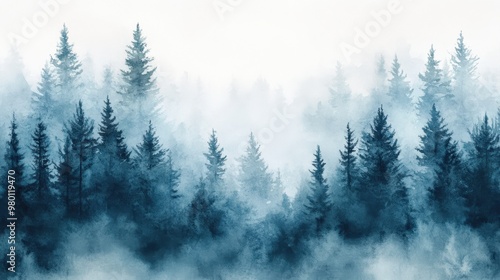 Misty Spruce Forest with Tall Trees Disappearing into Fog