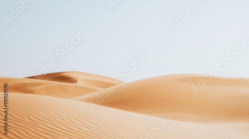 Desert Dunes in the Wind, winds sculpting immaculate sand formations beneath a pristine sky, showcasing the artistry of nature in a minimalist and open landscape