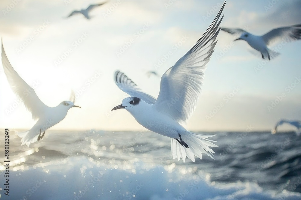 Fototapeta premium White Seabird in Flight Over Ocean Waves