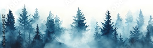 Misty Spruce Forest with Tall Trees Disappearing into Fog