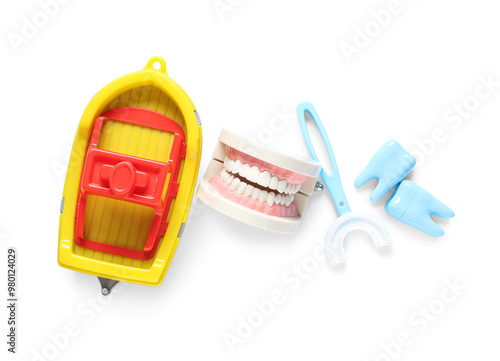 Jaw model with children's t...