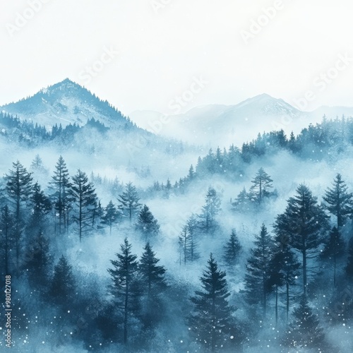 Misty Spruce Forest with Tall Trees Disappearing into Fog