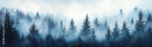 Misty Spruce Forest with Tall Trees Disappearing into Fog