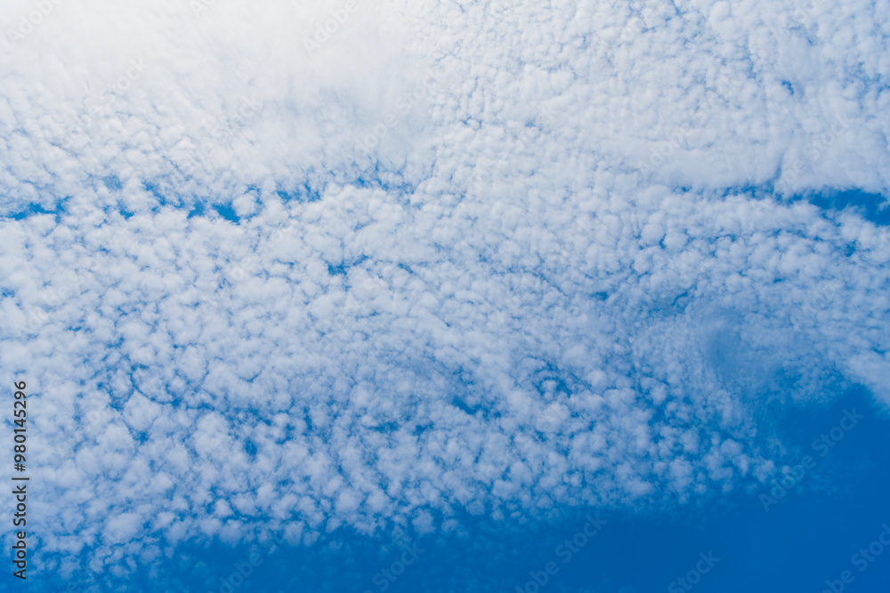 Obraz premium blue sky with a clouds. Clear blue sky panoramic background with small white clouds. Partly cloudy. White fluffy clouds in the blue sky.