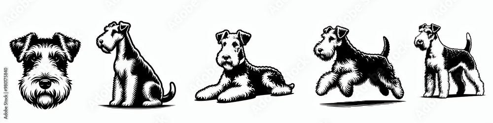 Set of wire fox terrier vector silhouette illustration collection set, dog breed clip art design element bundle Set of wire fox terrier vector silhouette illustration collection set, dog breed clip art design element bundle