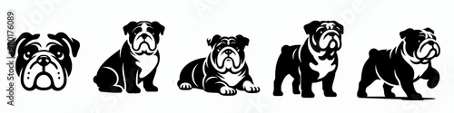Set of english bulldog vector silhouette illustration collection set, dog breed clip art design element bundle 