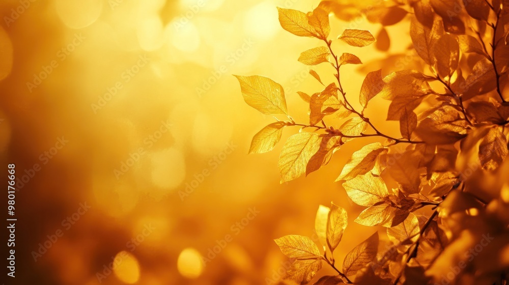 A warm yellow background with rich, golden tones, creating a cozy and inviting atmosphere perfect for welcoming designs. A warm yellow background with rich, golden tones, creating a cozy and inviting atmosphere perfect for welcoming designs.