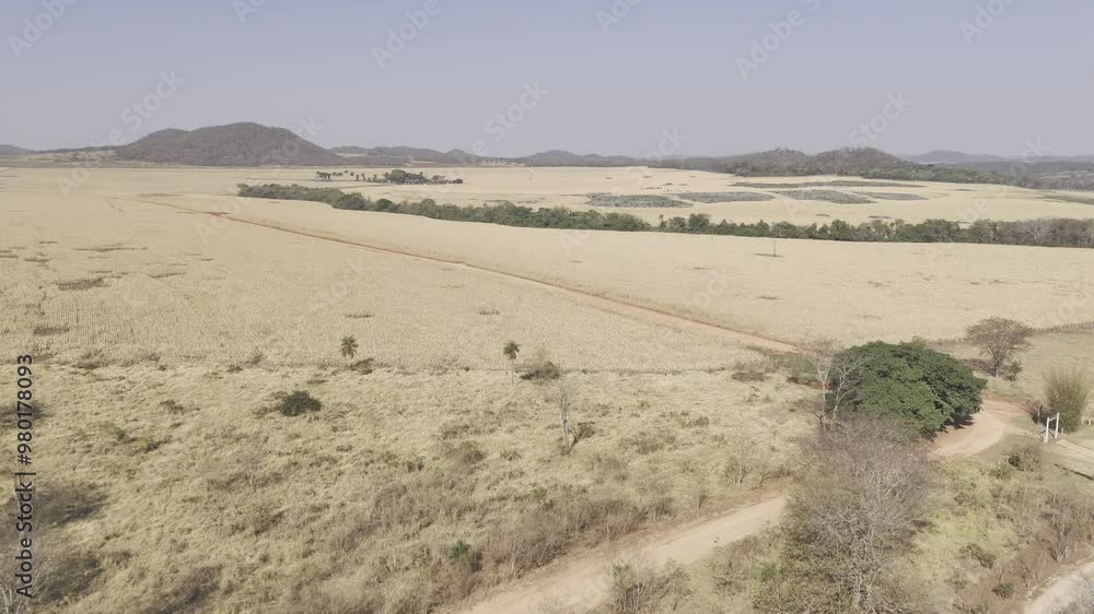 Drone flies over fields of dried crops with dirt road running through, in the outskirts of Bonito, Mato Grosso do Sul, Brazil Drone flies over fields of dried crops with dirt road running through, in the outskirts of Bonito, Mato Grosso do Sul, Brazil