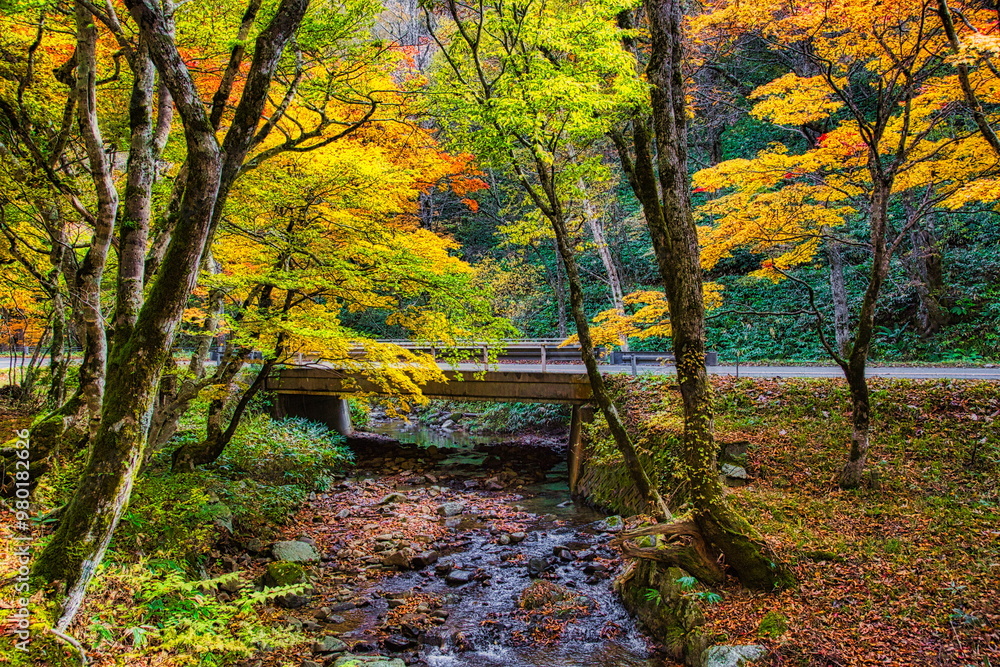 Obraz premium 飛騨の山地では秋になると紅葉で渓谷が最も美しくなります