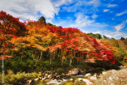 飛騨の山地では秋になると紅葉で渓谷が最も美しくなります