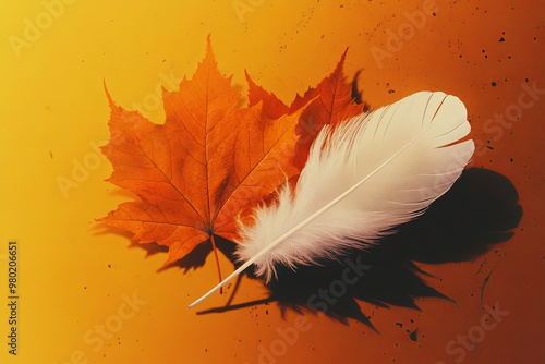 white feather and orange maple leaf National Day for Truth and Reconciliation in Canada 