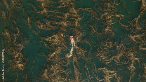 Boat sails through the seaweed, view from the top