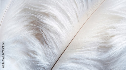 The delicate structure of soft white feathers showcases their elegant texture and natural beauty photo