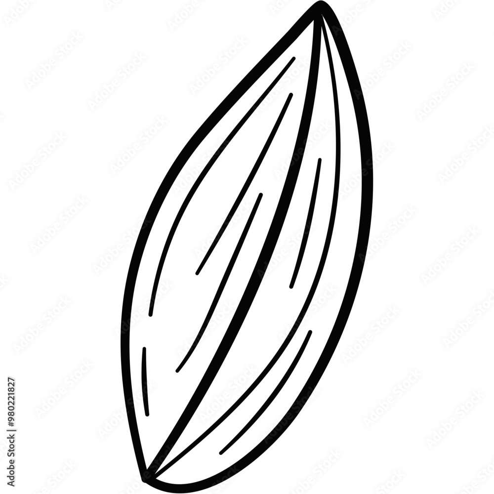 Nut Seed Hand Drawn Nut Seed Hand Drawn
