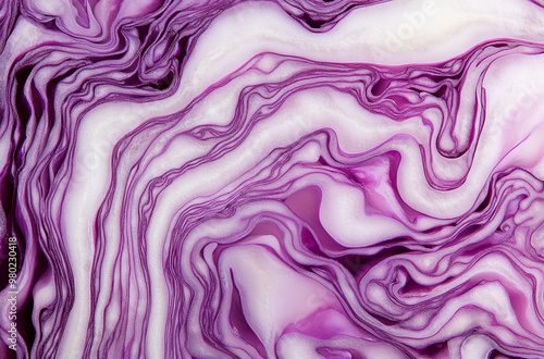 A close up of the interior texture and pattern inside a sliced purple cabbage photo