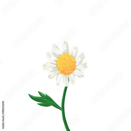flower white