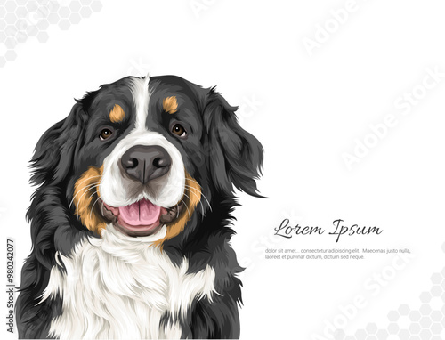 Vector Dog Breed Bernese Mountain 1