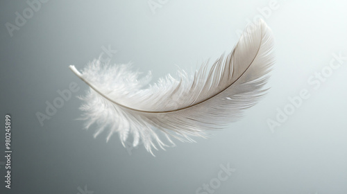 single delicate white feather on light blue background - softness, airy, minimalist, nature, beauty