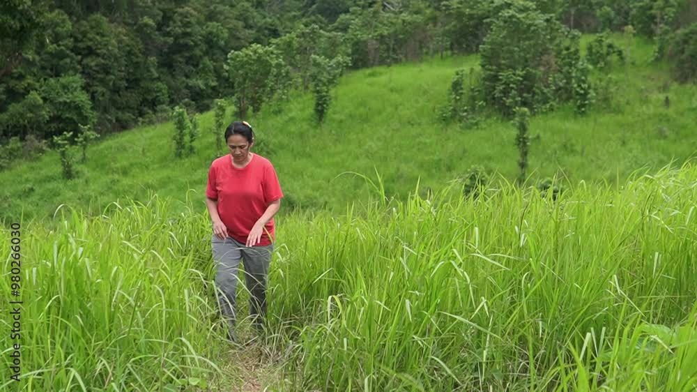Asia women walking on the meadow Asia women walking on the meadow