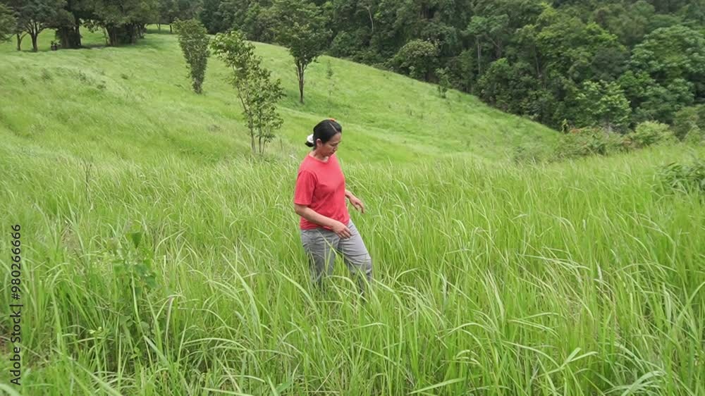 Asia women walking on the meadow Asia women walking on the meadow