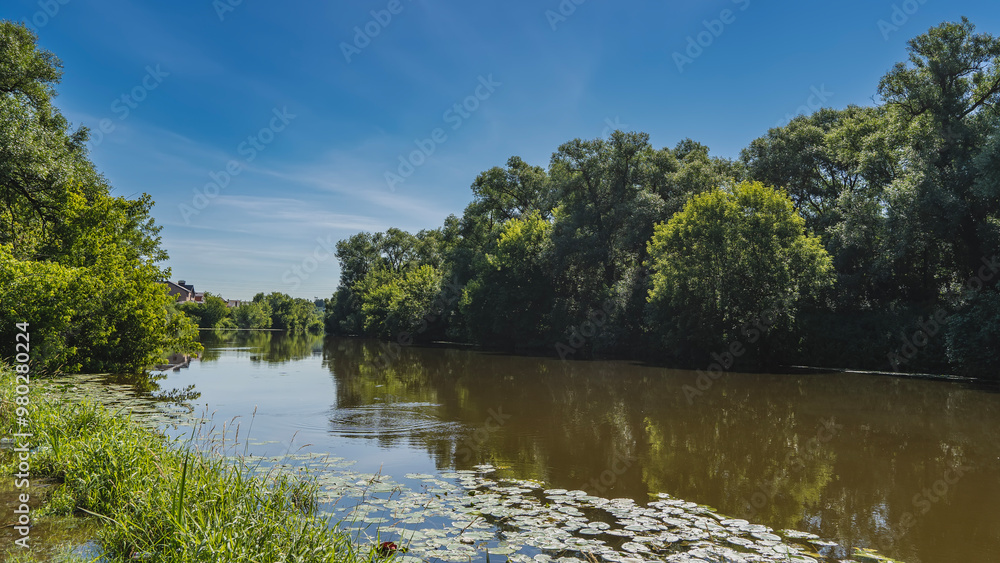 A quiet, calm river. Thickets of trees on the banks, lush green grass. Circles are spreading out on the smooth surface of the water. The leaves of the water lilies are floating. Reflection. Clear sky A quiet, calm river. Thickets of trees on the banks, lush green grass. Circles are spreading out on the smooth surface of the water. The leaves of the water lilies are floating. Reflection. Clear sky
