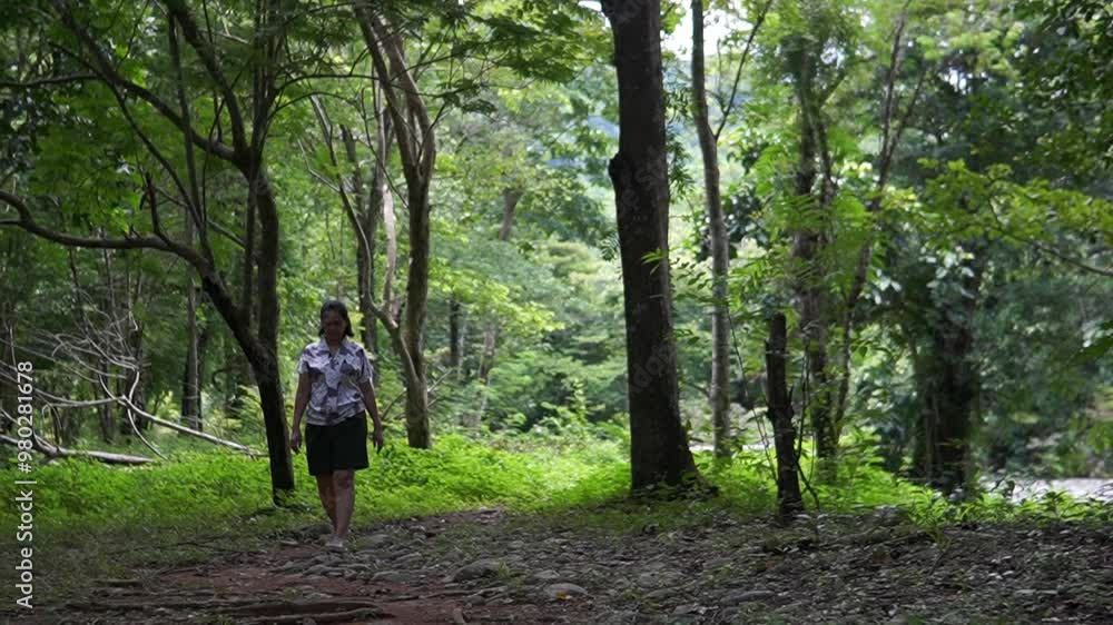 Asian woman walking along the river in the forest Asian woman walking along the river in the forest