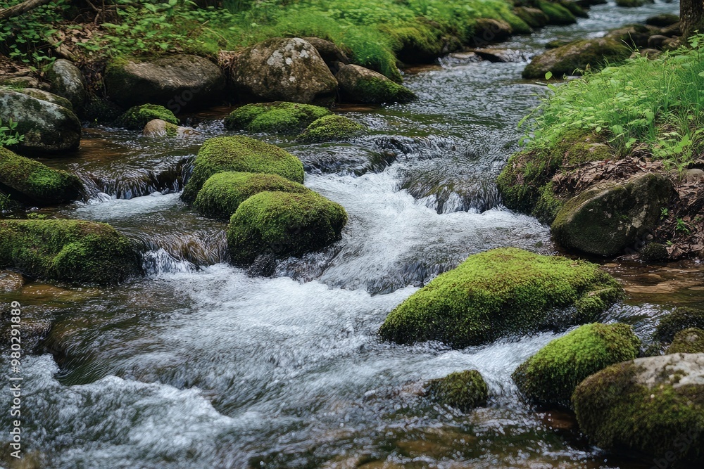 Smoky Mountain stream with mossy rocks with generative ai Smoky Mountain stream with mossy rocks with generative ai