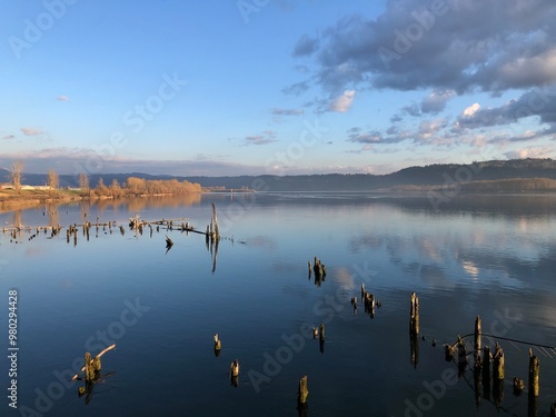 View of the Columbia River under blue skies with log pilings in the water