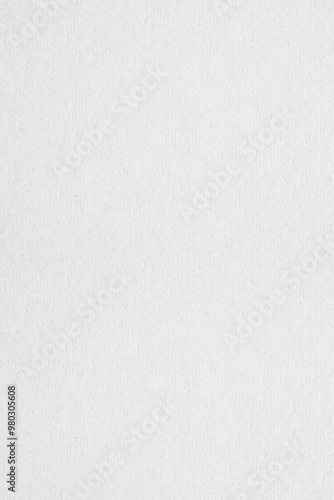 Wallpaper Mural White paper texture background, Blank white paper surface space for art and minimal design white background, vertical, banner, wallpaper, backdrop Torontodigital.ca