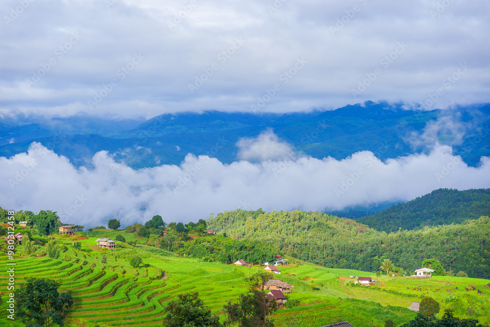 Fototapeta premium Beautiful rice terrace paddy fields with fresh green natural agricultural mountains landscape view Doi Inthanon Nation Park the Pa Bong Pieng the village at Mae Chaem, Chiang Mai, Thailand.