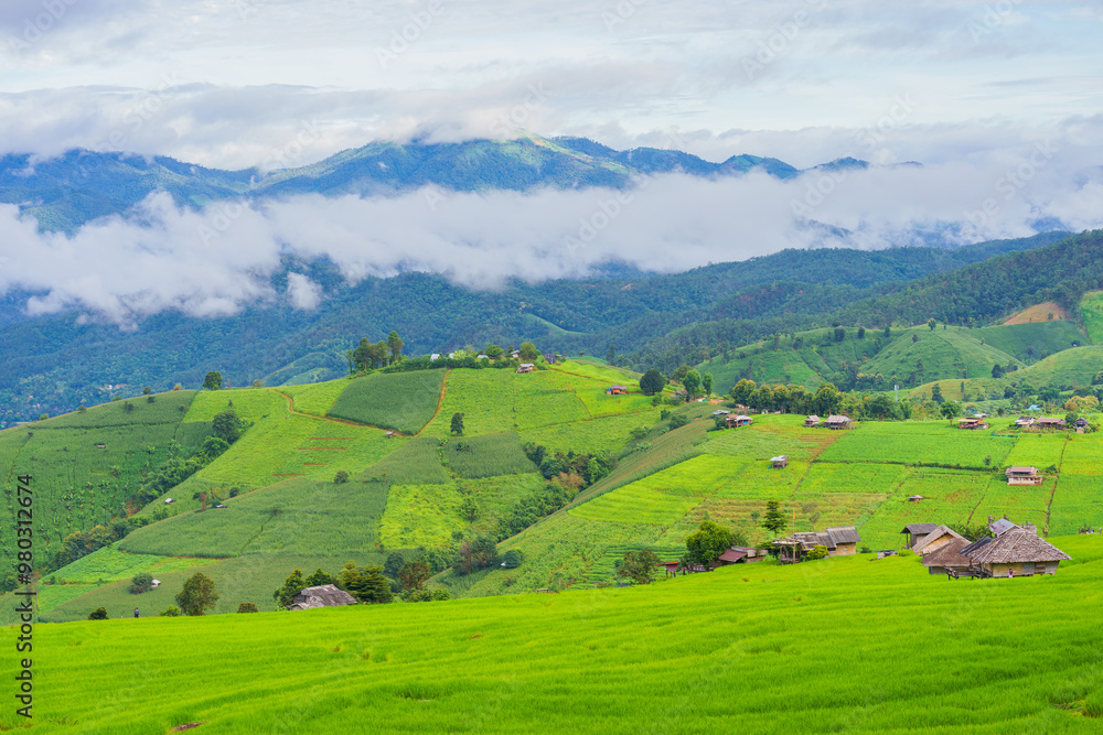 Fototapeta premium Beautiful rice terrace paddy fields with fresh green natural agricultural mountains landscape view Doi Inthanon Nation Park the Pa Bong Pieng the village at Mae Chaem, Chiang Mai, Thailand.