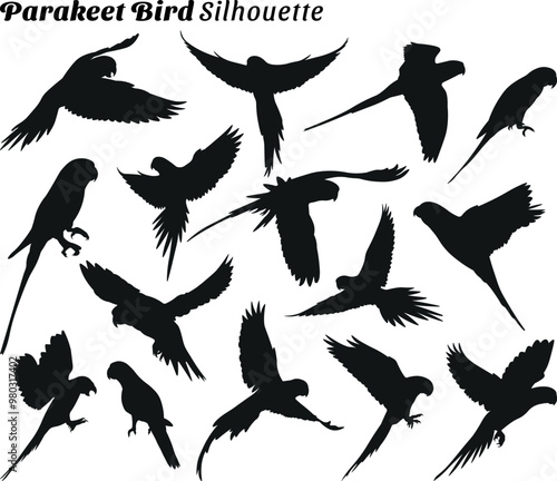 Parakeet bird silhouette vector illustration set