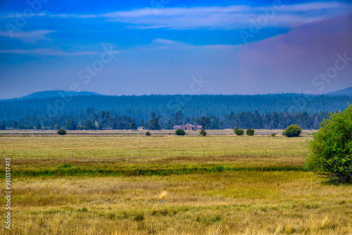 2024-09-09 OPEN GRASS AREAS WITH A BARN AND OUTBUILDING IN THE DISTANCE WITH TREES AND A CLOUDY SKY AFFECTED BY SMOKE IN SUNRIVER OREGON  photo