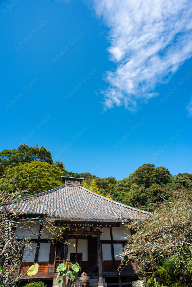 鎌倉249　光則寺4　秋空