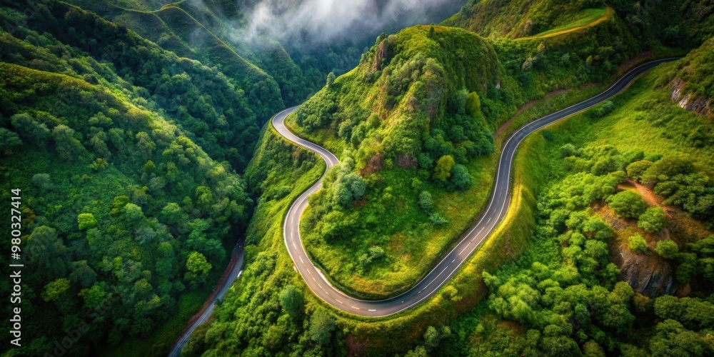 Aerial view of road winding through lush green forest on Madeira island, Portugal, Madeira, Portugal, aerial view, road, forest Aerial view of road winding through lush green forest on Madeira island, Portugal, Madeira, Portugal, aerial view, road, forest