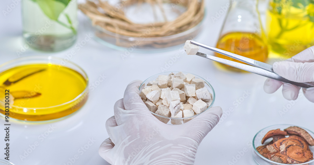 A scientist carefully use tweezers to pick up and meticulously observes a dry white crumb mass from a petri dish. Sample photos for laboratory experiments A scientist carefully use tweezers to pick up and meticulously observes a dry white crumb mass from a petri dish. Sample photos for laboratory experiments