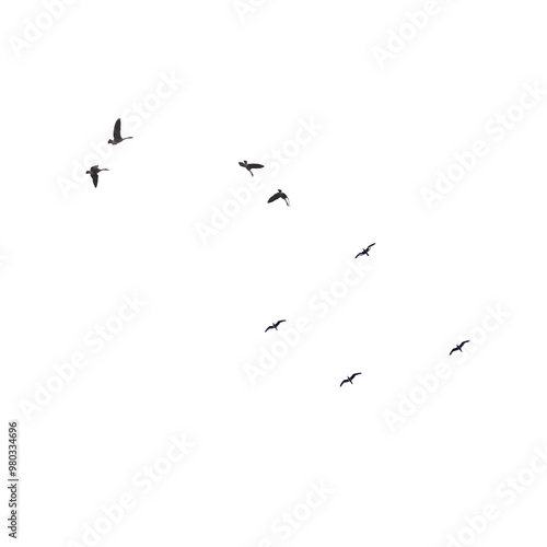 Geese flying in the sky on transparent background. PNG file