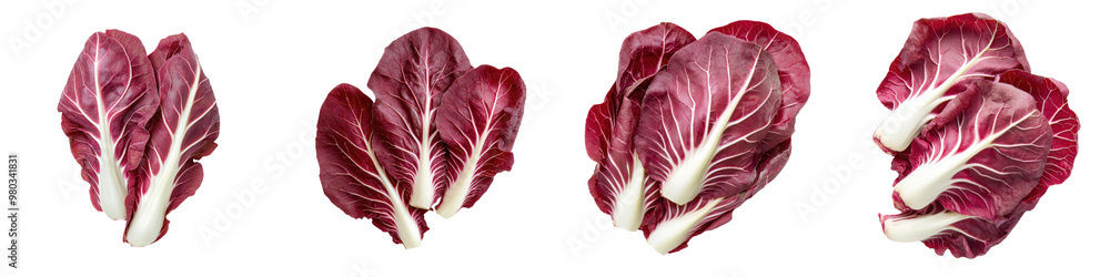 Fresh red lettuce leaves arranged artistically, showcasing vibrant colors and textures for culinary and health-related themes. transparent background Fresh red lettuce leaves arranged artistically, showcasing vibrant colors and textures for culinary and health-related themes. transparent background