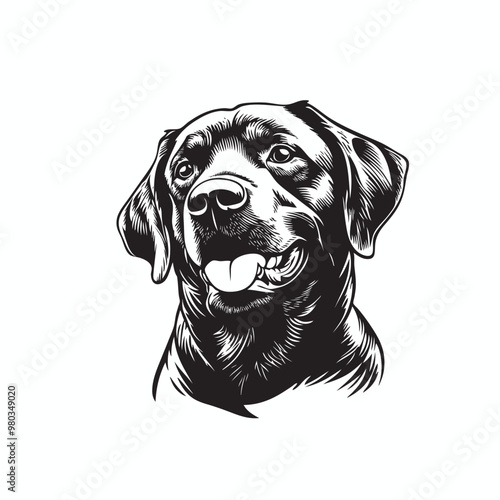 Labrador Dog Face Vector