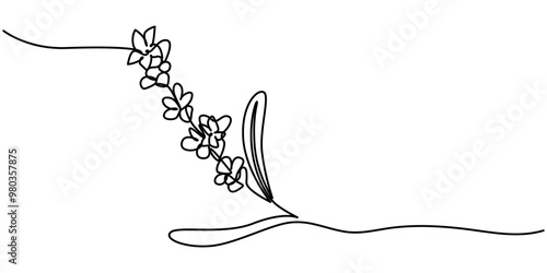 Lavender plant bunch, branch vector illustration. One continuous line drawing illustration organic lavender, Continuous one line drawing of lavender. Modern style vector illustration on isolated