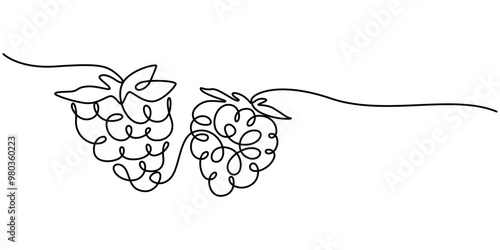 Raspberry vector color illustration, background, sketch banner for label design. One continuous line drawing of raspberry with lettering. Editable black stroke, Raspberry continuous one line drawing