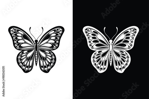 Black butterfly vector illustration. Silhouette icon isolated on white black