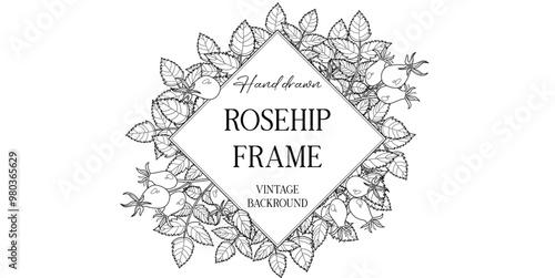 Hand drawn autumn botanical frame with rosehip leaves. Vector illustration in sketch style isolated on white. Realistic rosehip design element. Space for text